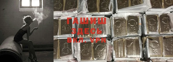 прущие грибы Абдулино