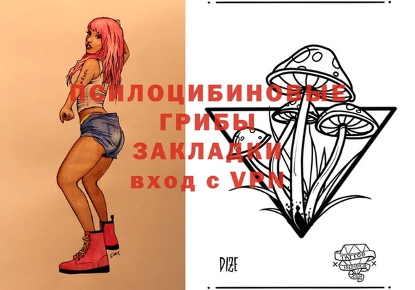 прущие грибы Абдулино