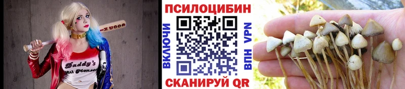 гидра зеркало Сызрань Галлюциногенные грибы прущие грибы